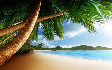 free desktop backgrounds beach caribbean.